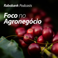 Café – Informações de Mercado e Colheita da Safra 2026/2027 | Julho 2026