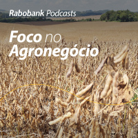 Atualização do mercado de soja no Brasil