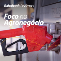 Quais os impactos do conflito do Irã para os mercados de fertilizantes e diesel no Brasil