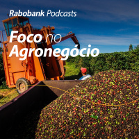 Café – Informações de Mercado e Colheita da Safra 2026/2027