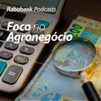 Consumidor Brasileiro no terceiro trimestre de 2026