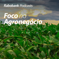 Atualização do mercado de soja e milho no Brasil