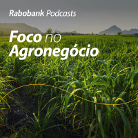 Açúcar, etanol e diversificação