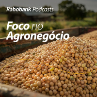 Geopolítica, logística e safra recorde: os desafios da soja