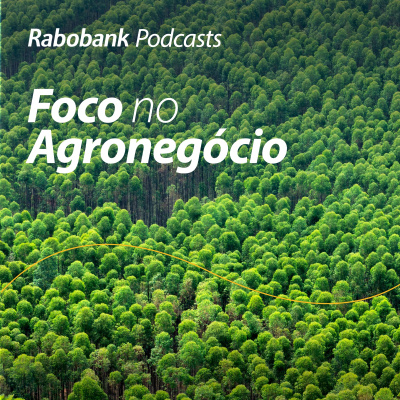 Foco No Agronegócio - Pesquisa Setorial