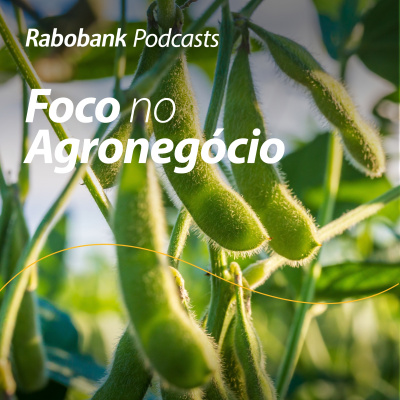 Foco No Agronegócio - Pesquisa Setorial