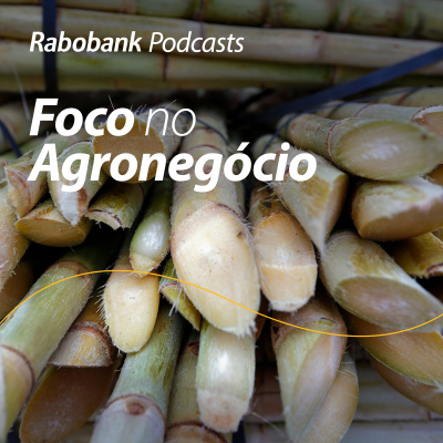 Foco No Agronegócio - Pesquisa Setorial