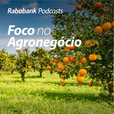 Foco No Agronegócio - Pesquisa Setorial