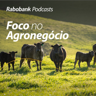 Foco No Agronegócio - Pesquisa Setorial