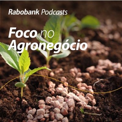 Foco No Agronegócio - Pesquisa Setorial