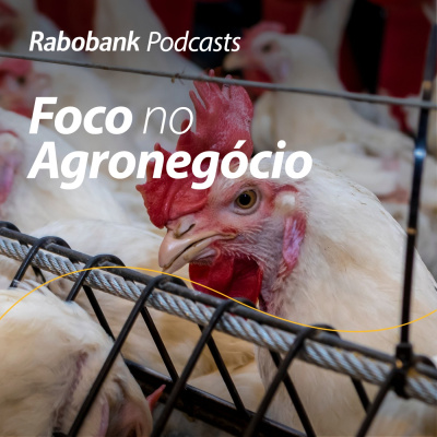 Foco No Agronegócio - Pesquisa Setorial