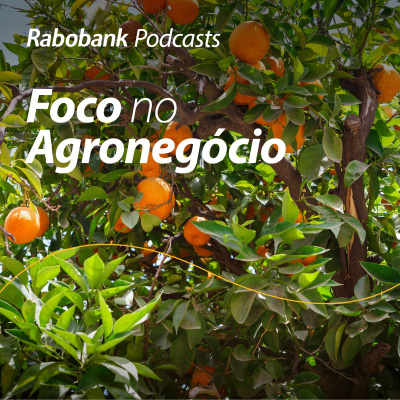 Foco No Agronegócio - Pesquisa Setorial