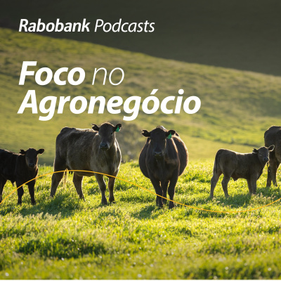 Foco No Agronegócio - Pesquisa Setorial