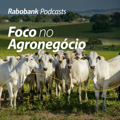 Foco No Agronegócio - Pesquisa Setorial