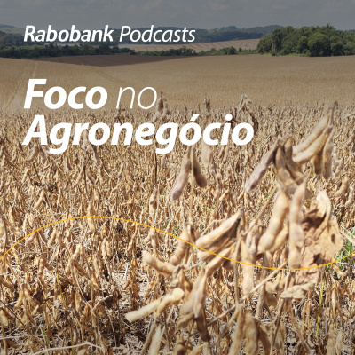 Foco No Agronegócio - Pesquisa Setorial