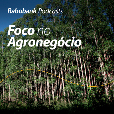 Foco No Agronegócio - Pesquisa Setorial
