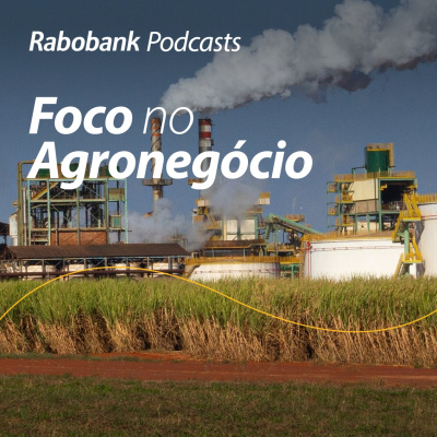 Foco No Agronegócio - Pesquisa Setorial