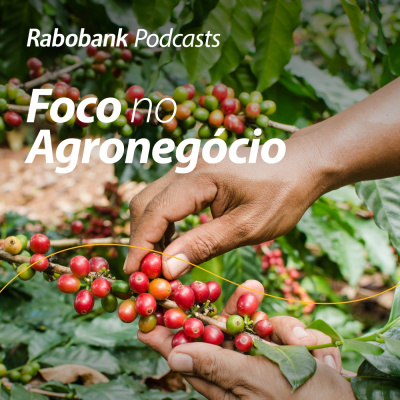 Foco No Agronegócio - Pesquisa Setorial