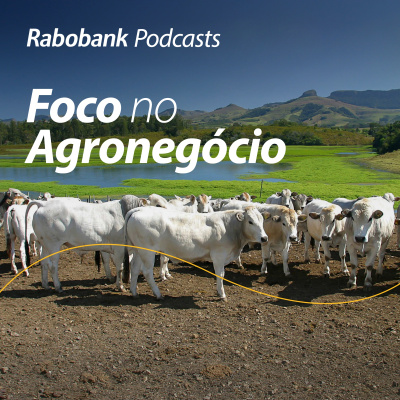 Foco No Agronegócio - Pesquisa Setorial