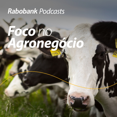 Foco No Agronegócio - Pesquisa Setorial