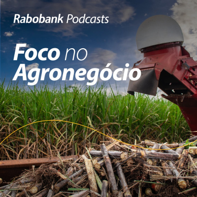 Foco No Agronegócio - Pesquisa Setorial