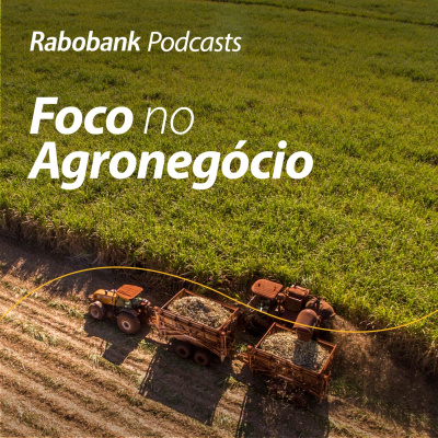 Foco No Agronegócio - Pesquisa Setorial