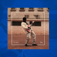 #20 – Bluesman, O Álbum Mais Importante Desde Nó Na Orelha?