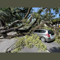 Fortes ventos no Brasil são culpa do Super El Niño? Especialista explica