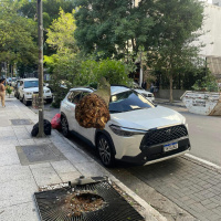 Por que venta tanto com céu limpo em SP? Especialista explica fenômeno