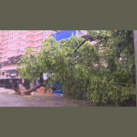 ‘Ao ouvir o toque das sirenes saia imediatamente’, orienta porta-voz do Corpo de Bombeiros do RJ