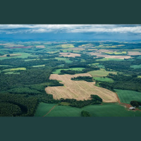 Uma análise dos vetos ao PL que flexibiliza o licenciamento ambiental