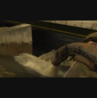 SOS Mata Atlântica aponta melhora parcial na poluição do Tietê e lança nova aliança ambiental