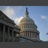 Eleições em parte dos estados nos EUA amanhã (4) são plebiscito do governo Trump?