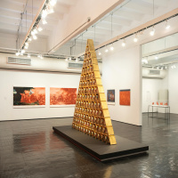 Exposições em São Paulo destacam design brasileiro e arte contemporânea