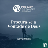 Procura-se a Vontade de Deus - David Merkh