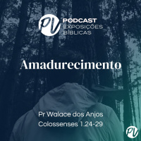 Amadurecimento - Walace dos Anjos - Cl 1.24-29