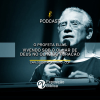 O Profeta Elias - Vivendo sob o olhar de Deus no olho do furacão - Carlos Osvaldo Pinto (COP)