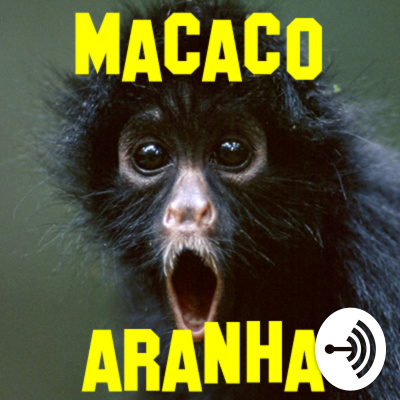 Macaco-aranha