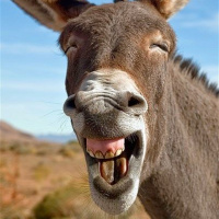 [REMIX] #41 - Estamos ficando mais burros?