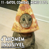 11 - Gatos, comidas, memes e etc