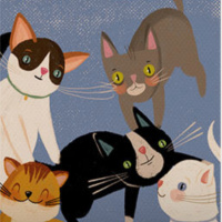 O Sétimo Gato (part. especial Olivia)