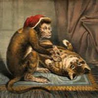 Valsa das Pulgas e outros poemas