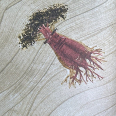 Histórias infantis de Pai para Filha