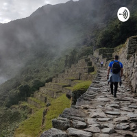 Piloto: Notificações de zap, Google espião e anúncios inesperados. 
