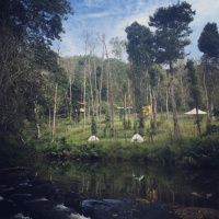 Isai, a place near Kodaikanal India. 