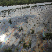 Transpetro recolheu 75% do óleo que vazou na Baía de Guanabara