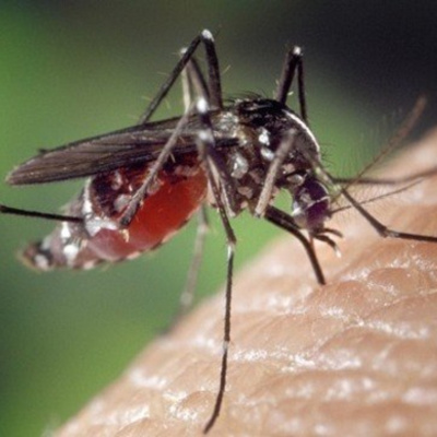 Canal De Podcast Da Rádio Unifoa