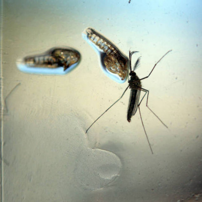 Canal De Podcast Da Rádio Unifoa