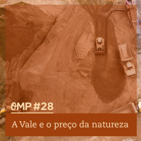#28 - A Vale e o preço da natureza