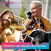 #87  -  Histórias de adoção dos bichos